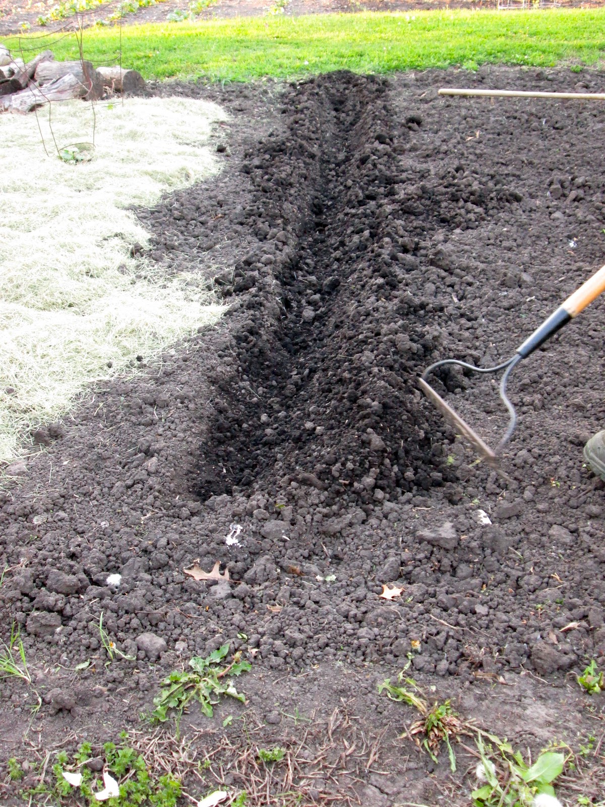 This Little House of Mine Planting our Vegetable Garden