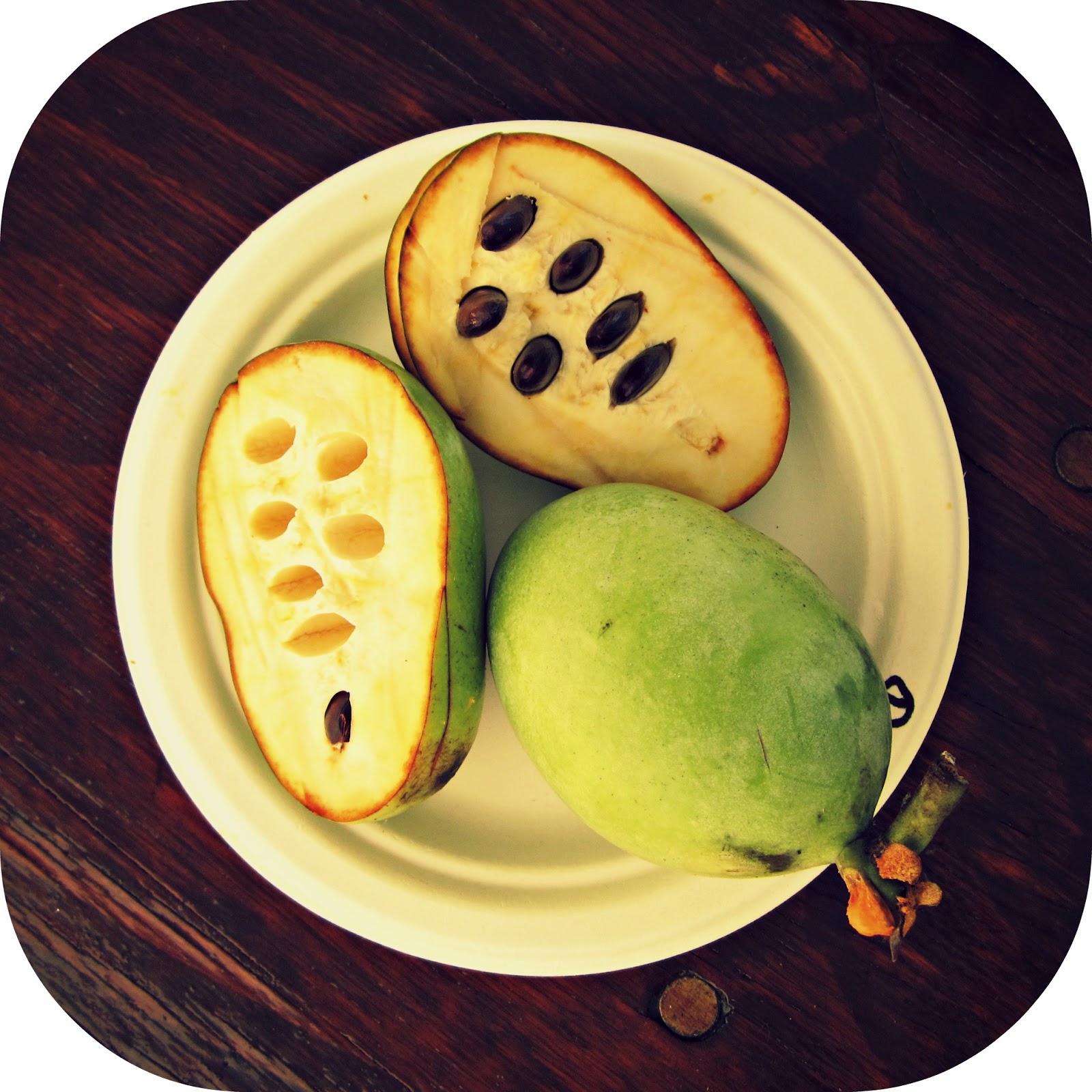 Cbus52 Columbus in a Year Pawpaws!