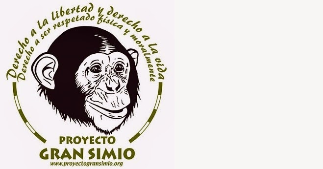 Resultado de imagen de PROYECTO GRAN SIMIO