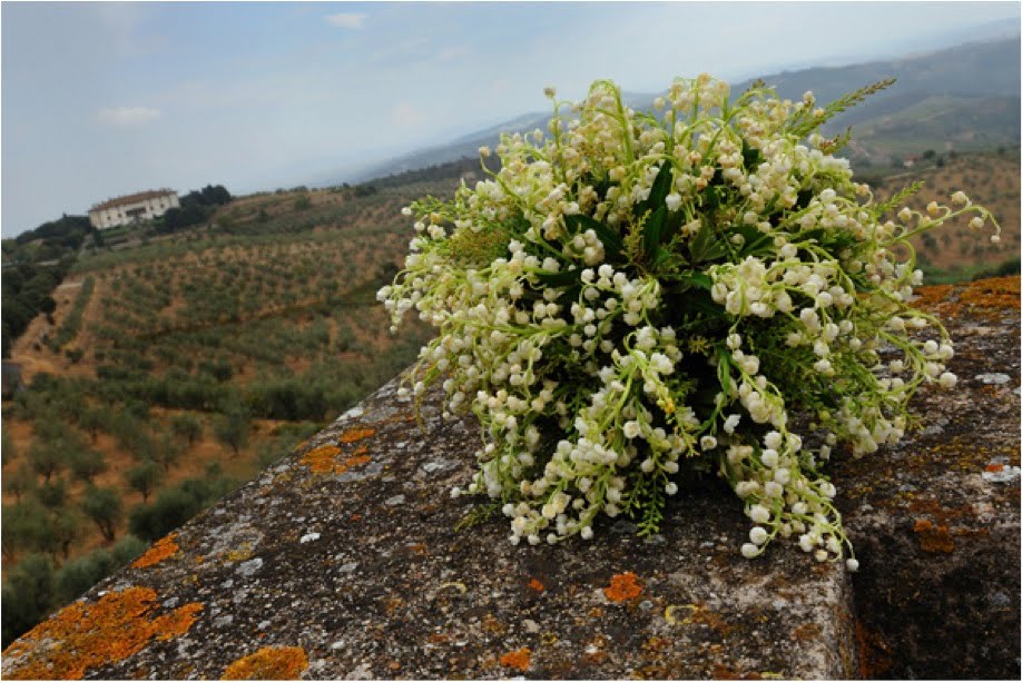 vineyard-wedding-bouquet-tuscany-italy