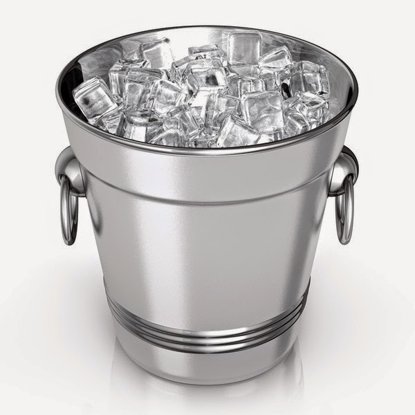 Mona's Blog I Challenge You To Stop Dumping Ice On Your Head