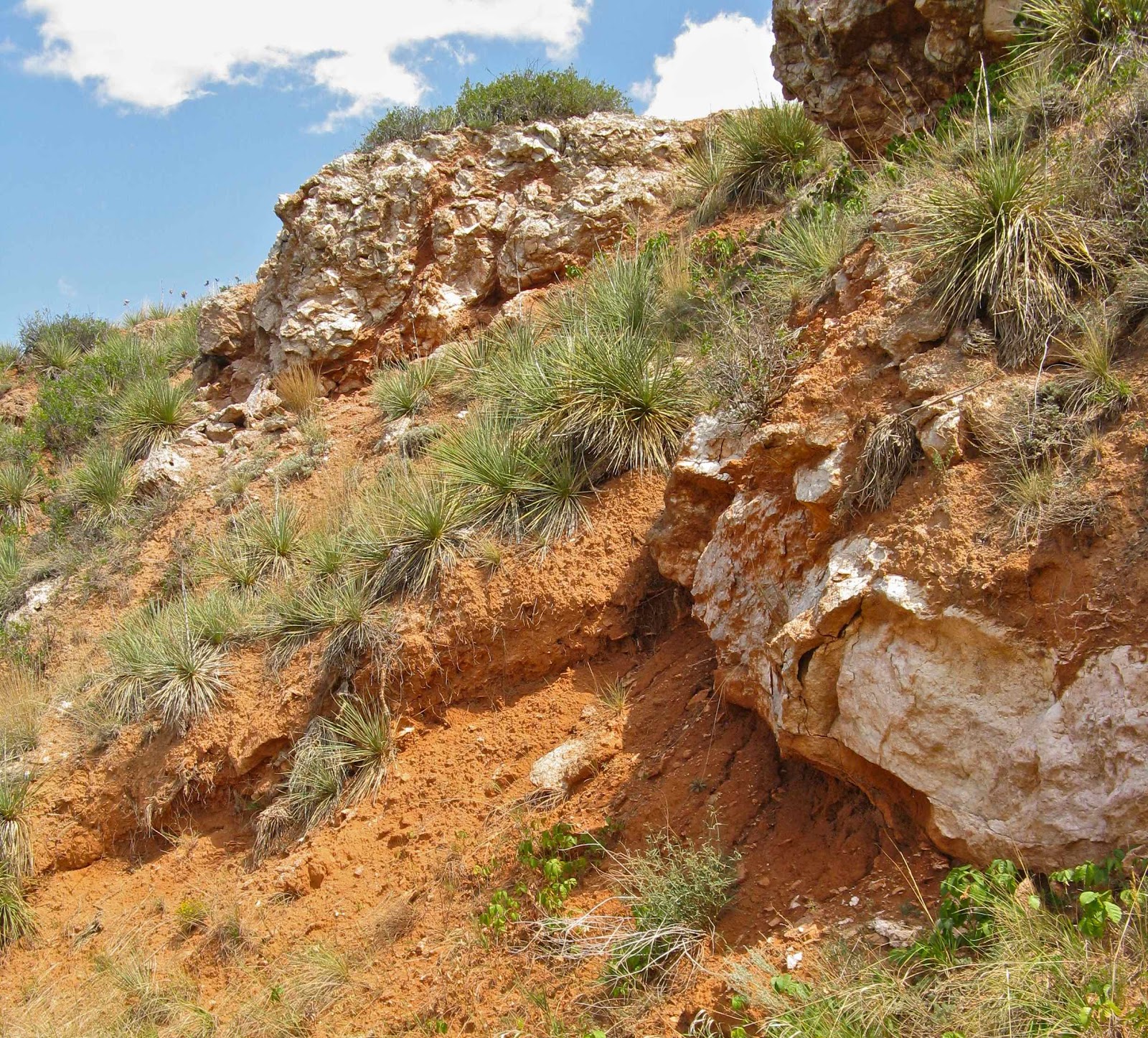 Great plains geology essay