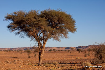 В Марокко через Европу на собственном авто