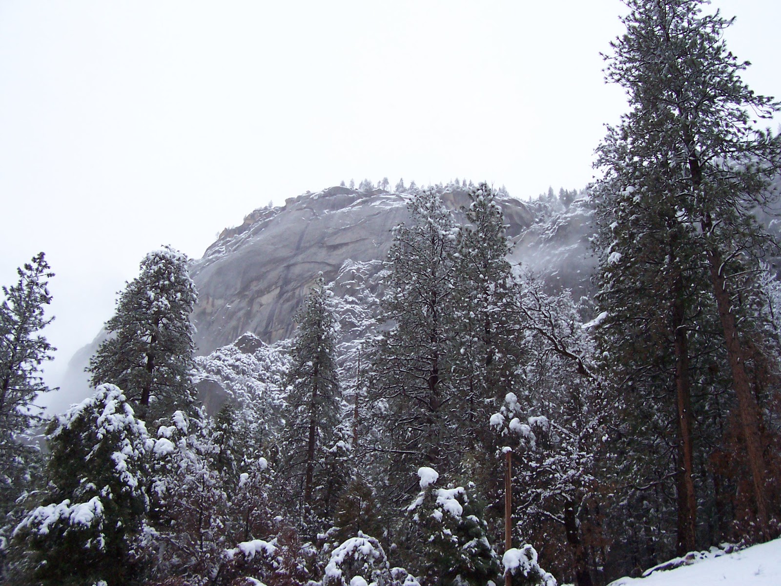 100% free online dating in yosemite national park Do women and men have different goals for online dating and then gave it to yosemite national park in order to have it be a free road for the public get the help you need from a . 100% free online dating in yosemite national park Do women and men have different goals for online dating and then gave it to yosemite national park in order to have it be a free road for the public get the help you need from a .