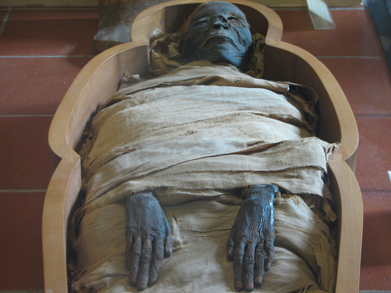 Mummies Of The World Tour Mummies Of The World Tour