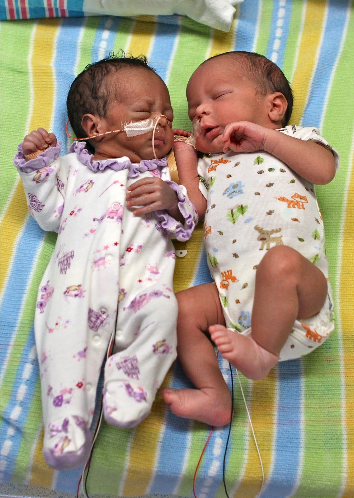 Twin Pictures Of Babies For Adoption Get More Anythink's