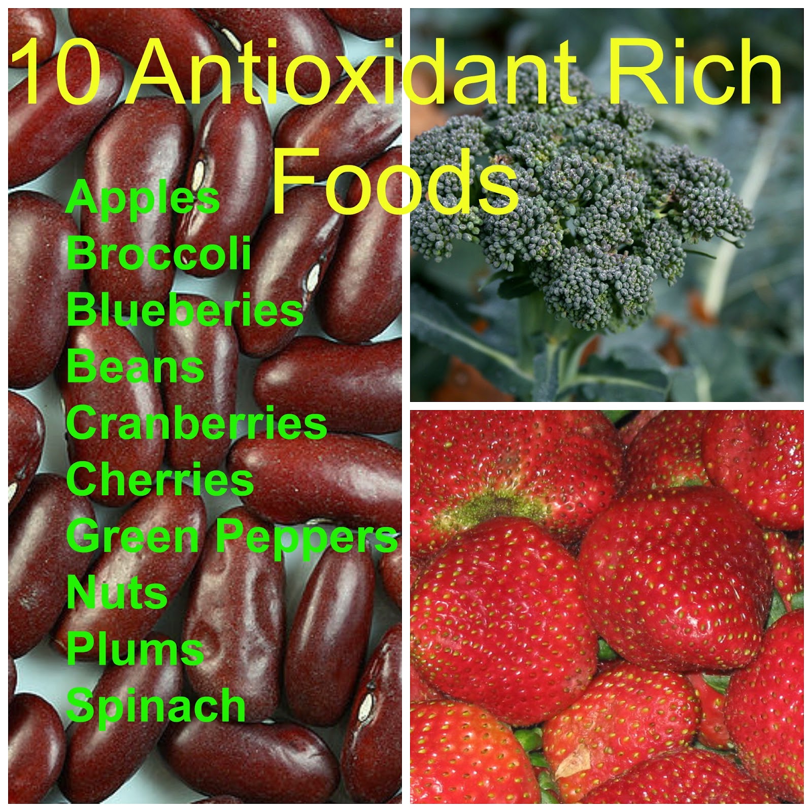 YOUR Life in YOUR Hands What are Antioxidants and Free Radicals