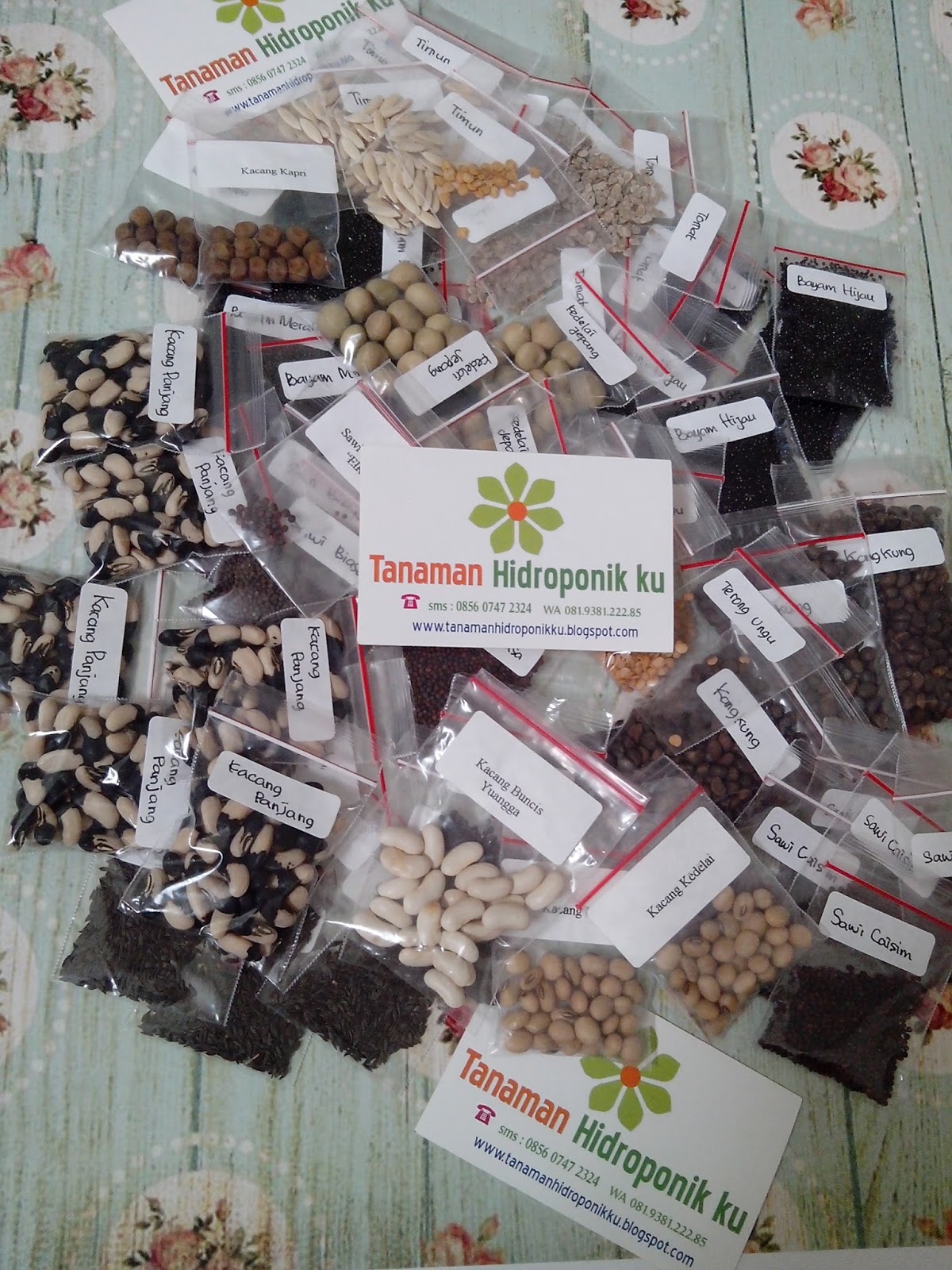 Jual Bibit Tanaman Sayur Ecer Di Surabaya Tanaman Hidroponik Dan