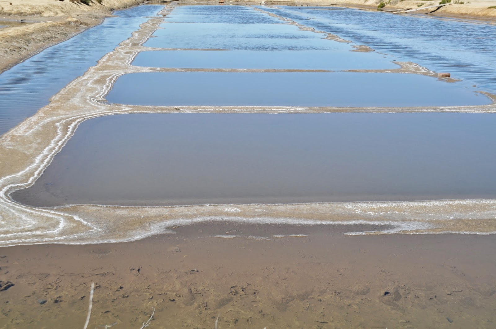 PROFUNDIZAGUA VISITA A LAS SALINAS