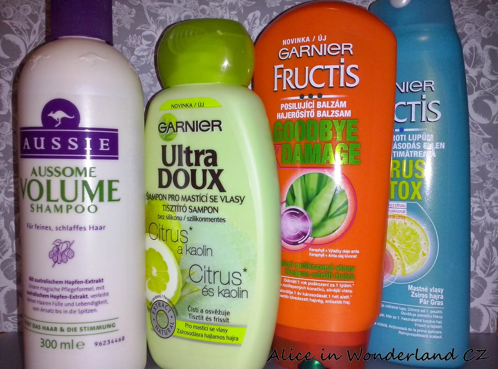 Alice In Wonderland Cz Ledna 2014