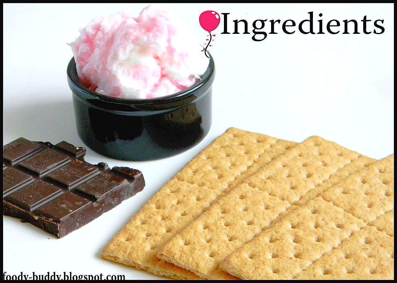 Foody Buddy Cotton Candy S'mores Kids Delight