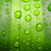 Rain Drops On Green Patel Background Wallpapers For Mobile