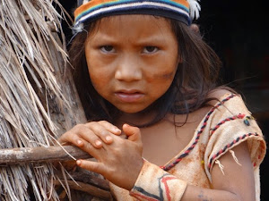 Acampamento Indígenas Guarani Kaiowa