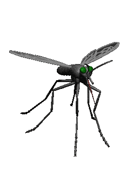 mosquito-01.gif