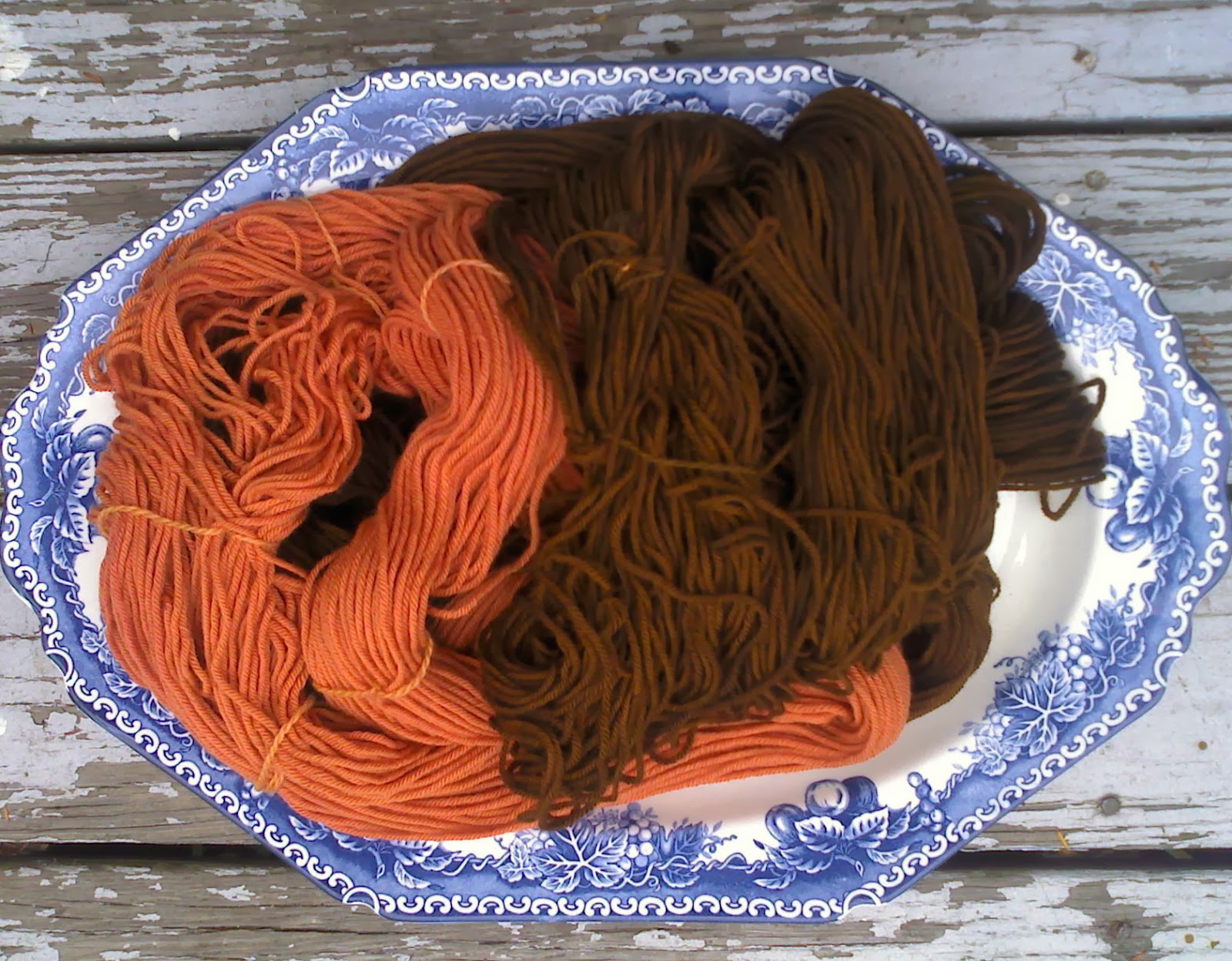 Wandering Lydia Black Walnut Husk Dye