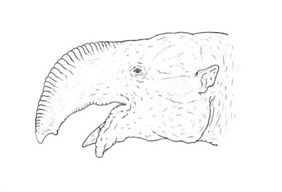 Chilgatherium