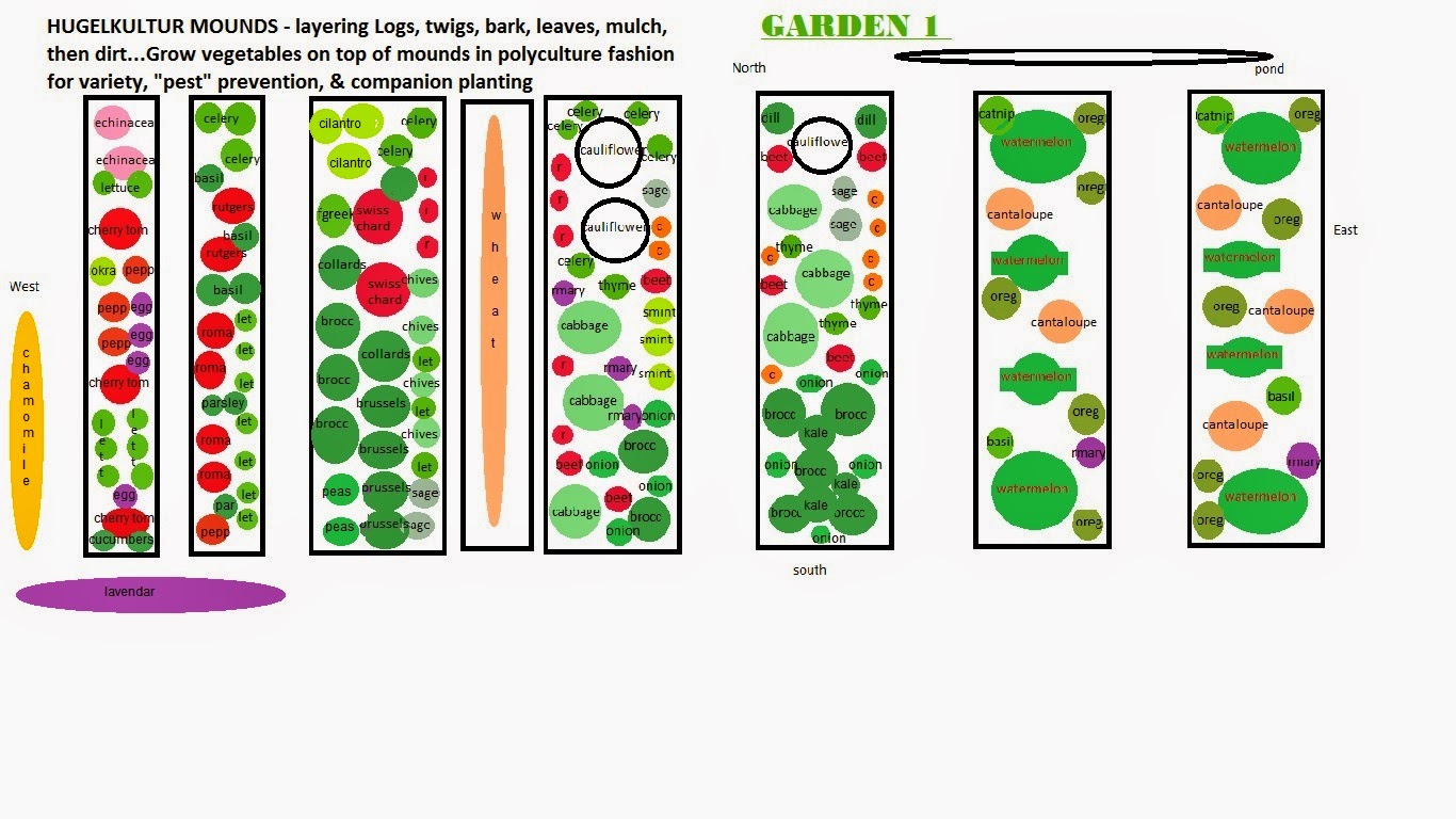 Vegans Living f the Land Layout of 2015 Spring Summer & Fall The second photo shows you Garden 2 of 3 This is my Grandparents backyard that receives partial sun This garden is perfect for growing Shade and cold