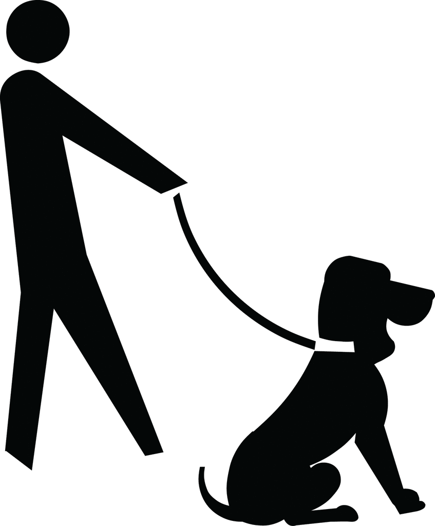 how to walk on leash lovely pets pets leash how to walk on leash lovely pets pets leash