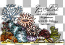 Coral garden, digital stamp
