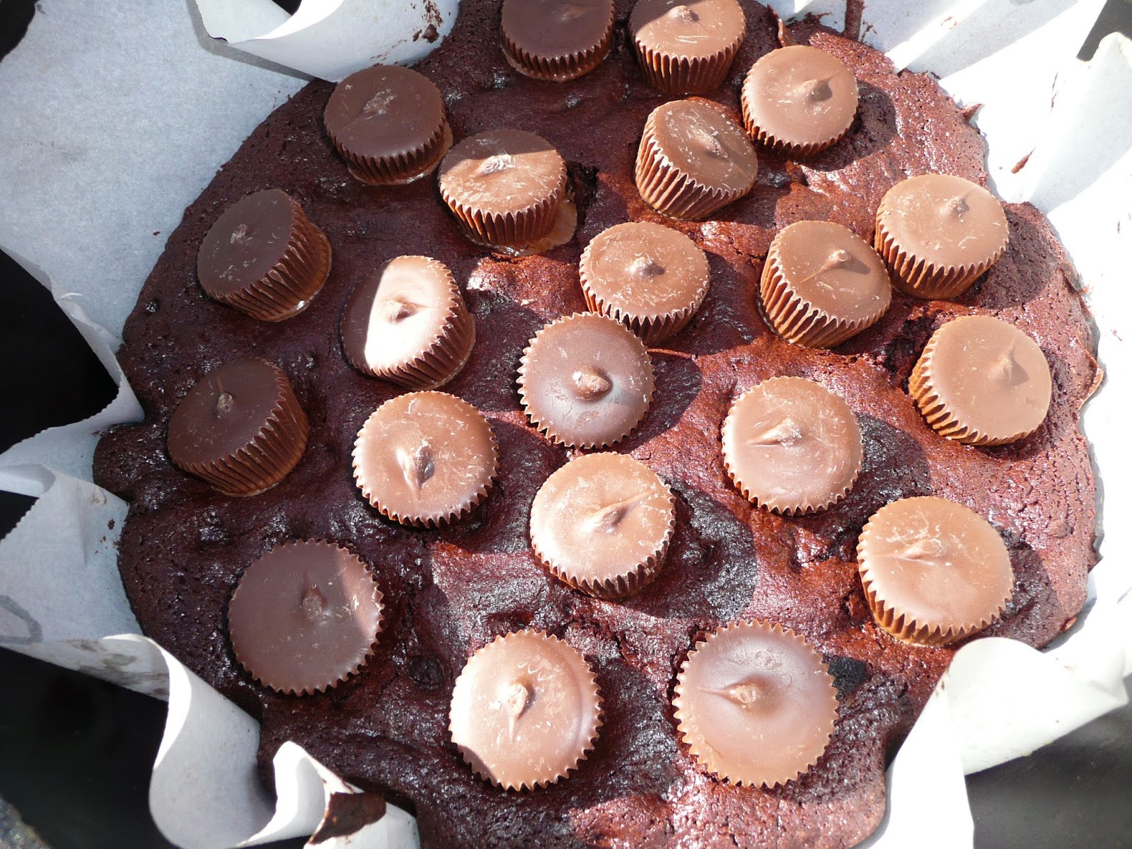 Everyday Dutch Oven Peanut Butter Brownies