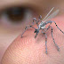 "DRONE SPY INSECT" 