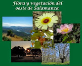 Colección Flora y vegetación del oeste de Salamanca