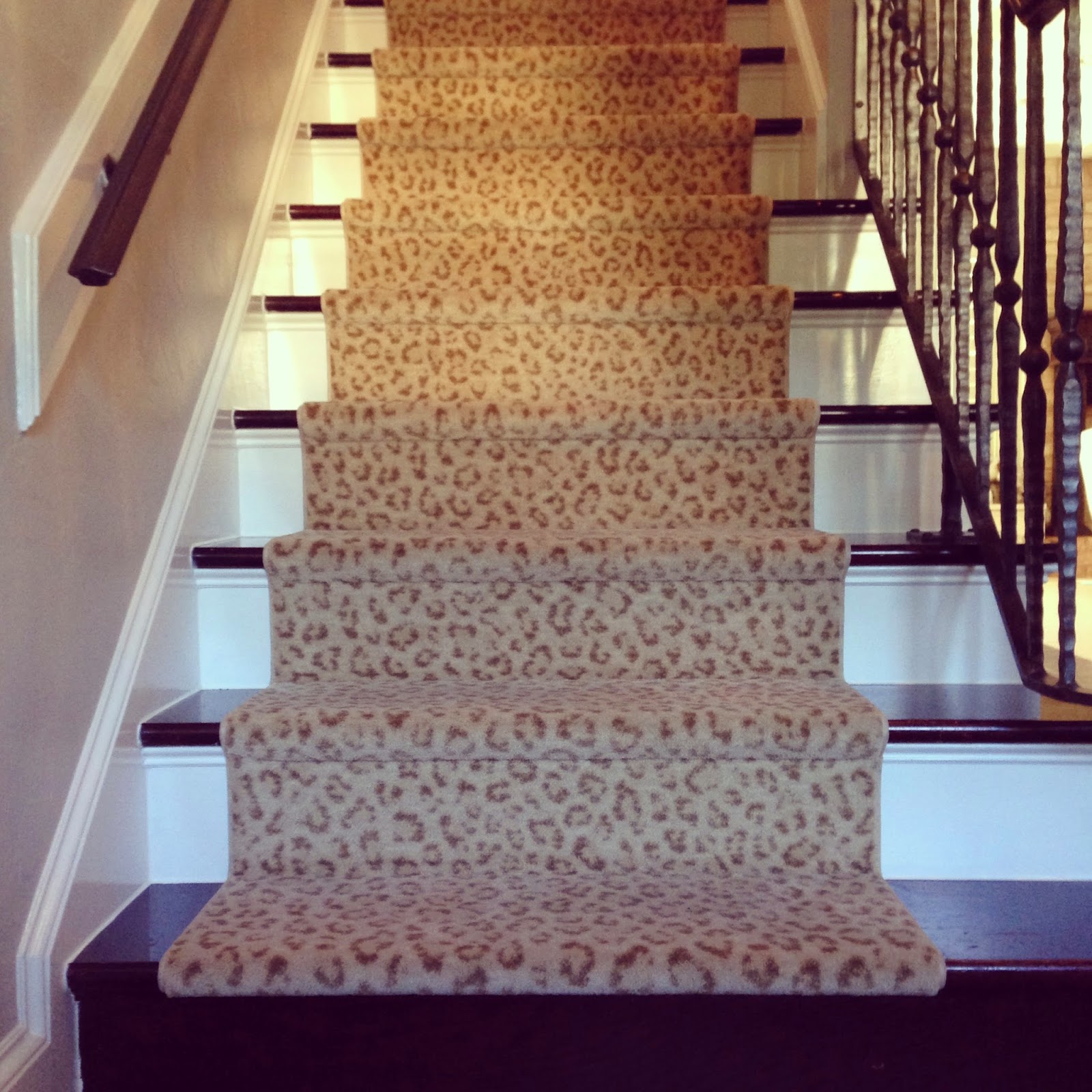 The Princie I have a leopard stair runner.