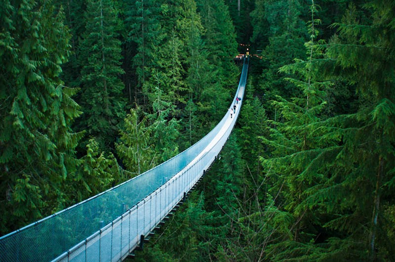 The Capilano Suspension Bridge in Vancouver Fantastic Materials