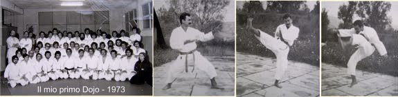 オリジンズ - 1973 年に武道の練習を開始します.