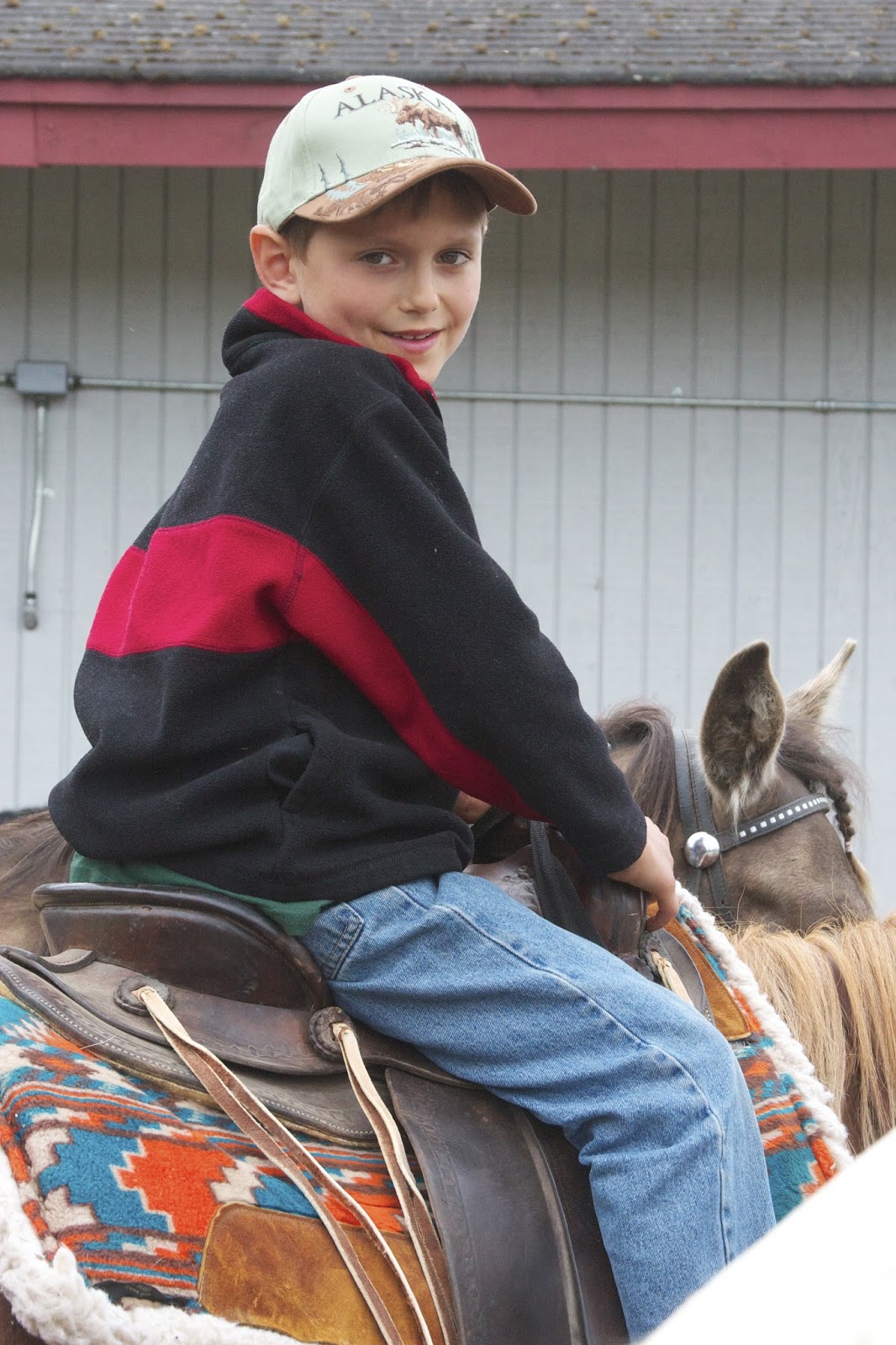 LIFE AS A BONTRAGER Horseback Riding//Anchorage Mountains