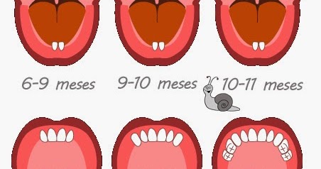 salida de dientes y diarrea caracol miricol dentici 243 n en los beb 233 s salida de dientes y diarrea caracol miricol dentici 243 n en los beb 233 s