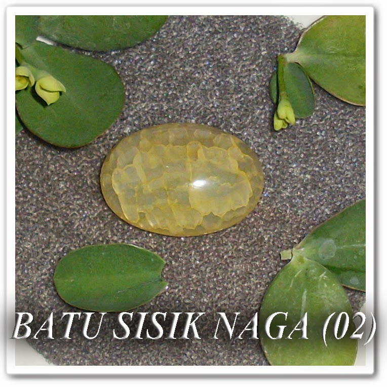 http://batuakik84.blogspot.com/2014/10/batu-akik-sisik-naga-02.html