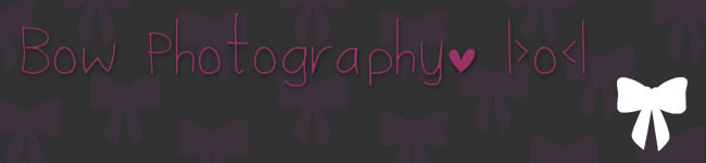 Bow Photography |>o<|
