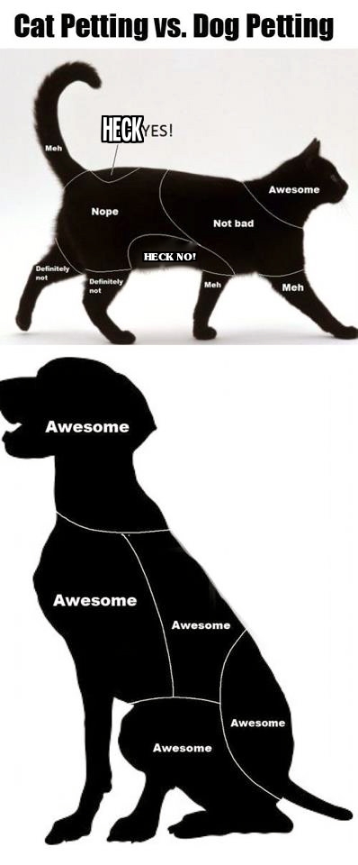 You're going to Timbuktu if it's the last thing I do!