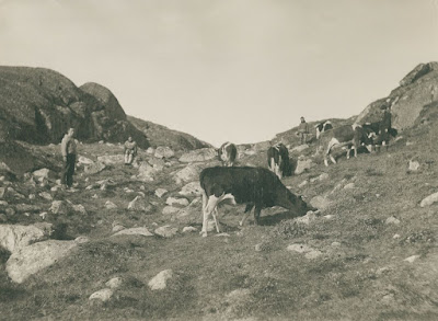 Fotografías antiguas de Groenlandia - 1896