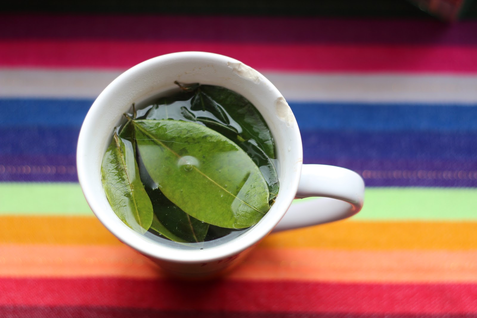 Through Glass and Prose Coca Leaves