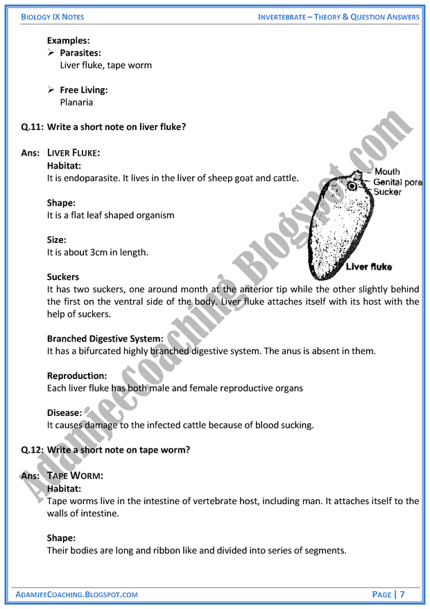 invertebrata-theory-notes-and-question-answers-biology-notes-for-class-9th