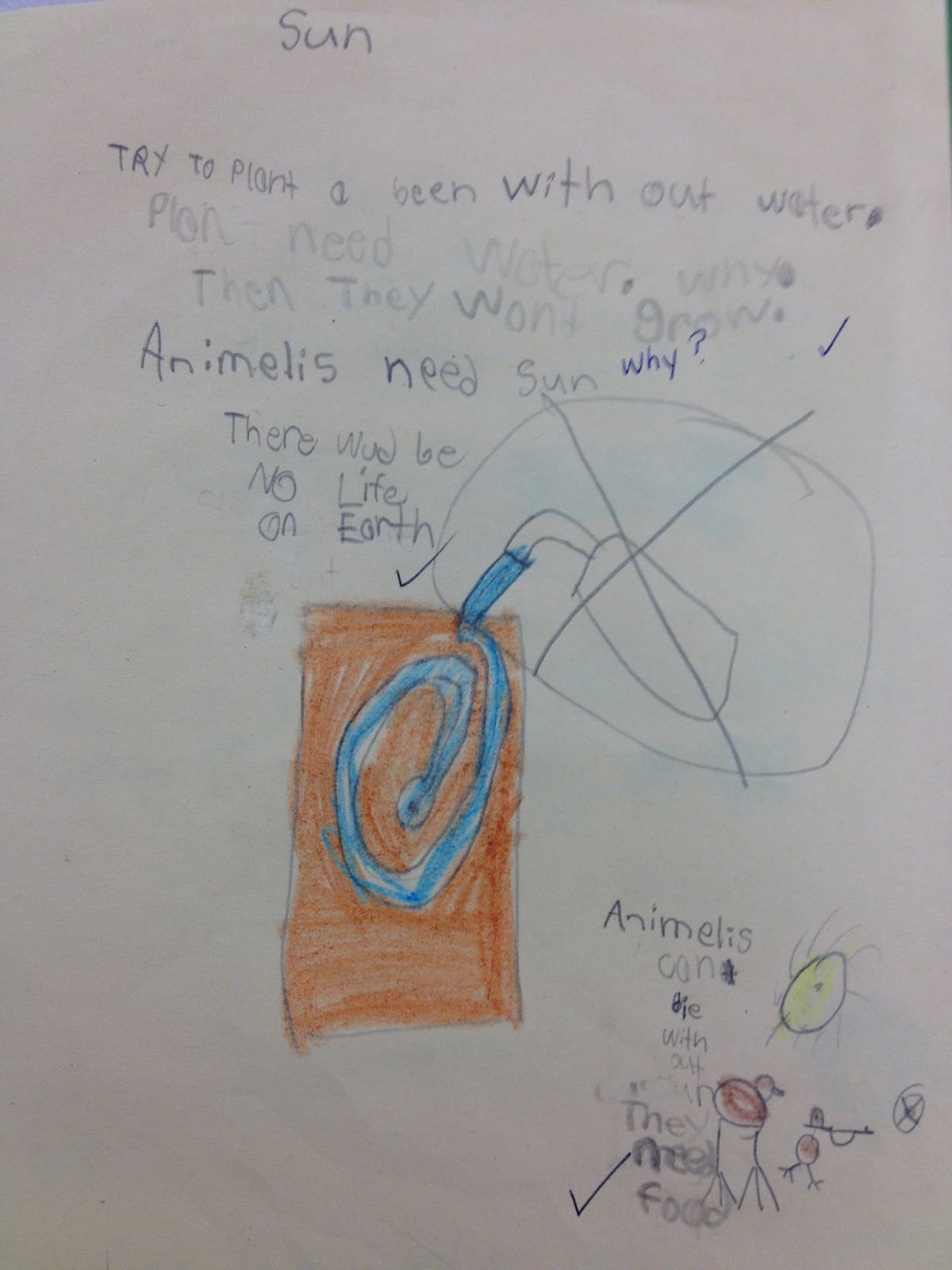 Wonder, Explore & Discover in Grade One: Our First Inquiry in Science!