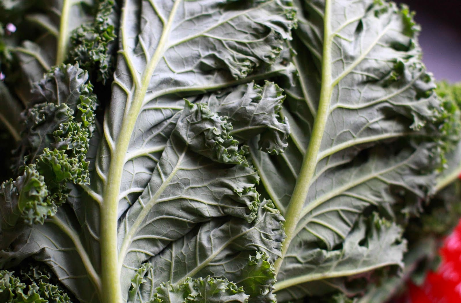 Survival Guide Dublin with Food Allergies A Super Easy & Super