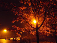 Autumn Nights2