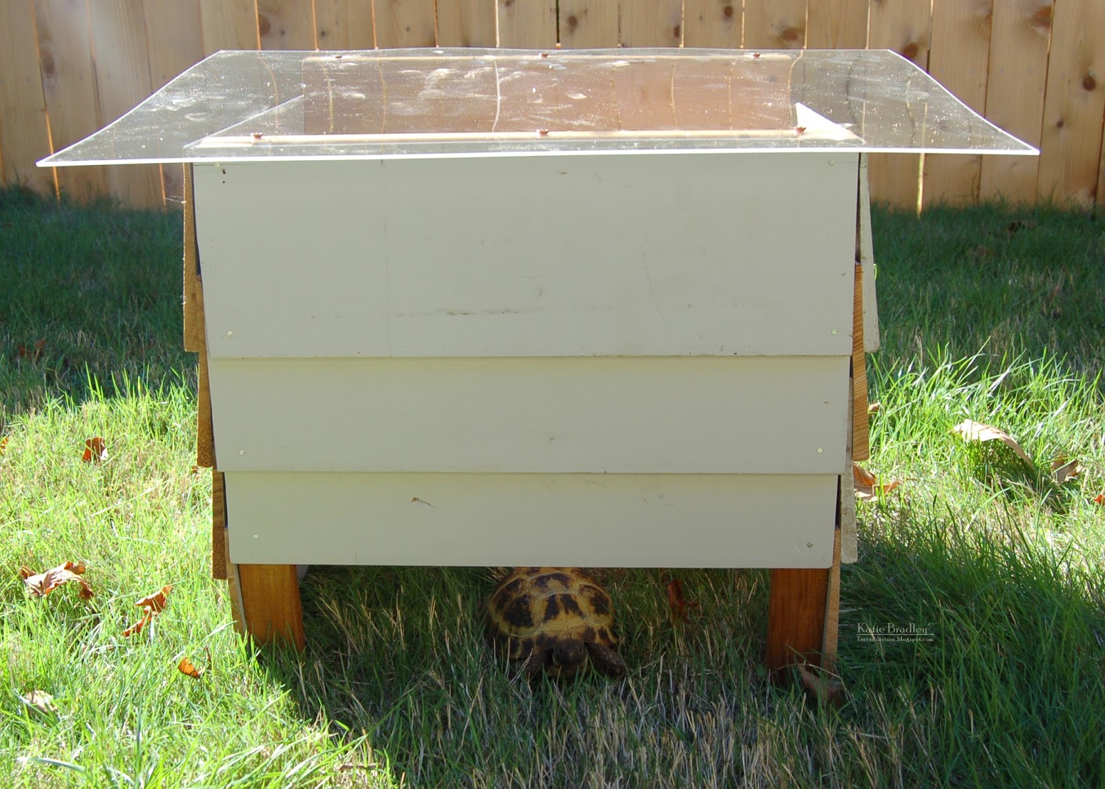 Tortaddiction I built a little tortoise house!