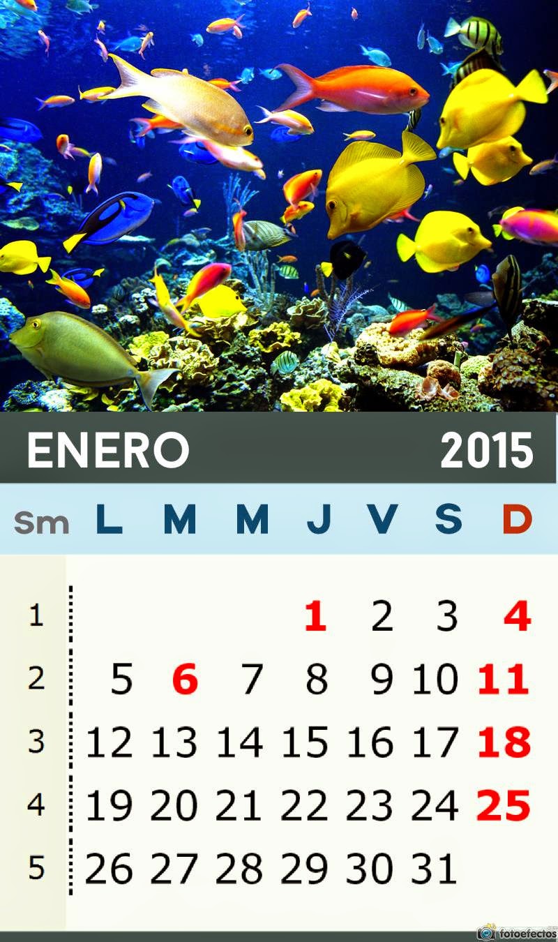 Calendario