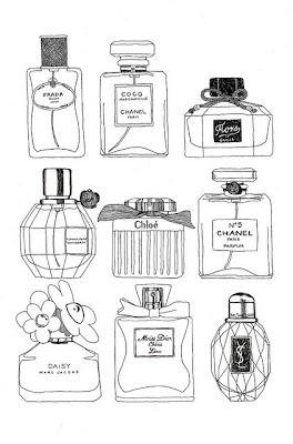 Perfume Bottle Sketches