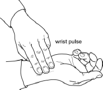 How do you check your pulse?