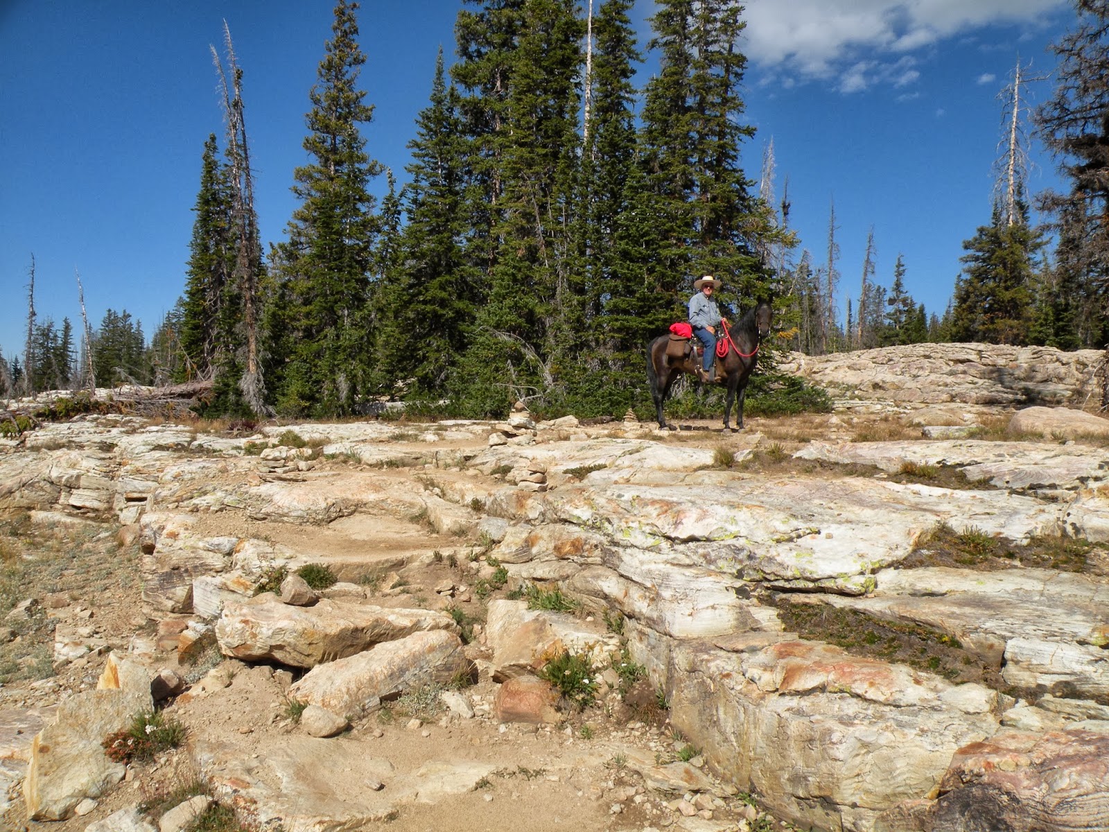 Dream Packer Trail Adventures Crystal Lake Trailhead, Wasatch Cache NF
