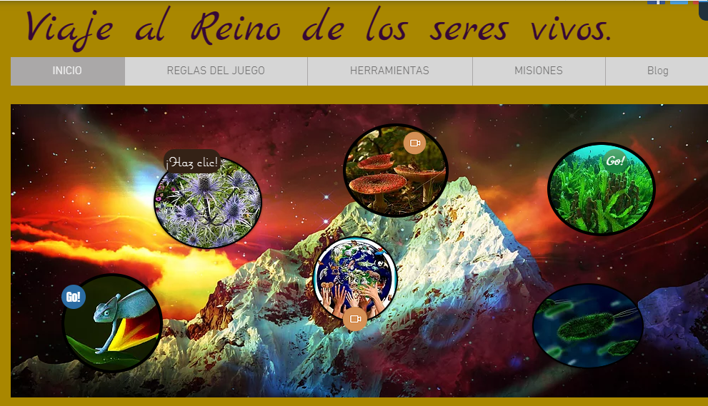 PROYECTO SERES VIVOS 5º