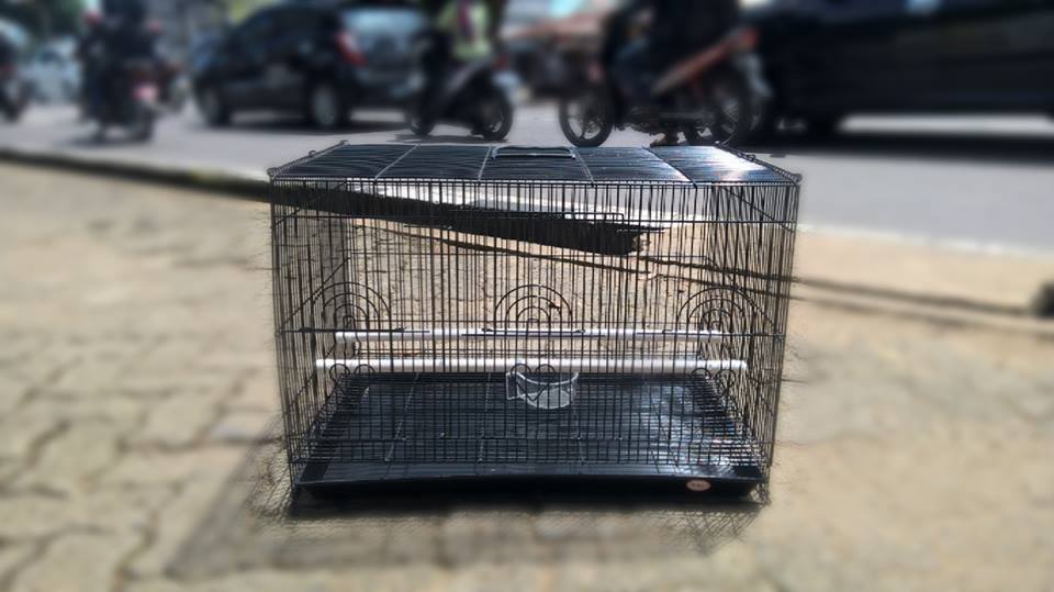 jual kandang dan perlengkapan kucing jambi hewan jual kandang dan perlengkapan kucing jambi hewan