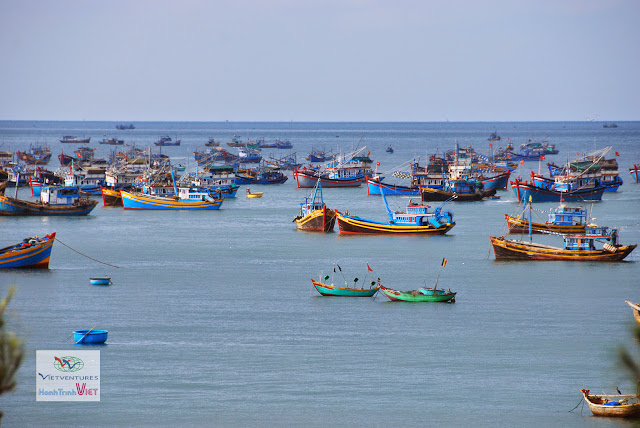 Cảng cá Mũi Né một ngày nắng đẹp