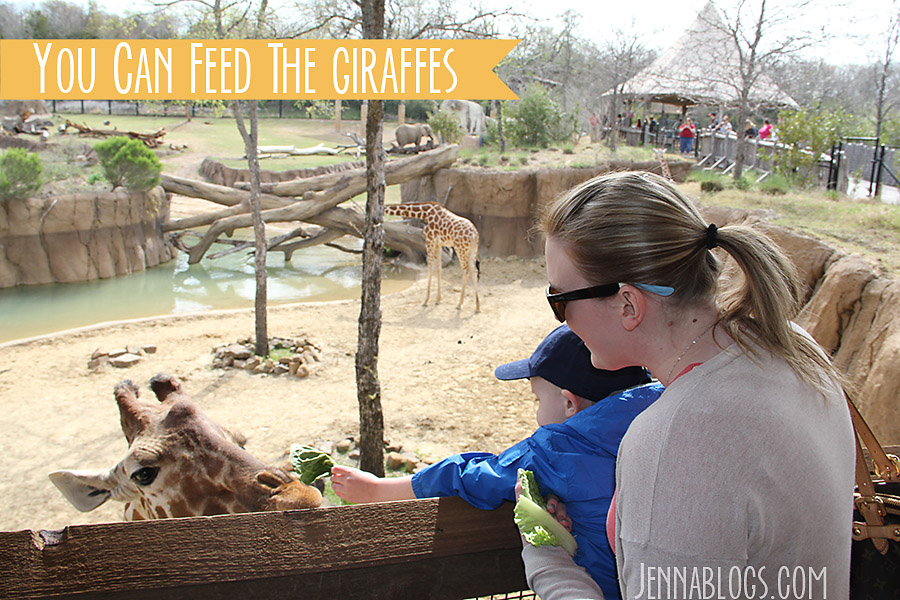 Jenna Blogs Dallas Fun, Episode One.