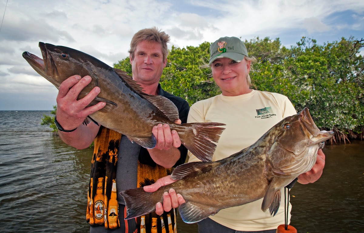 gag grouper fishing pine island florida captain bill russell